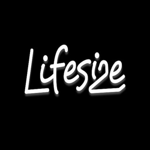 Presentations by Lifesize Festival