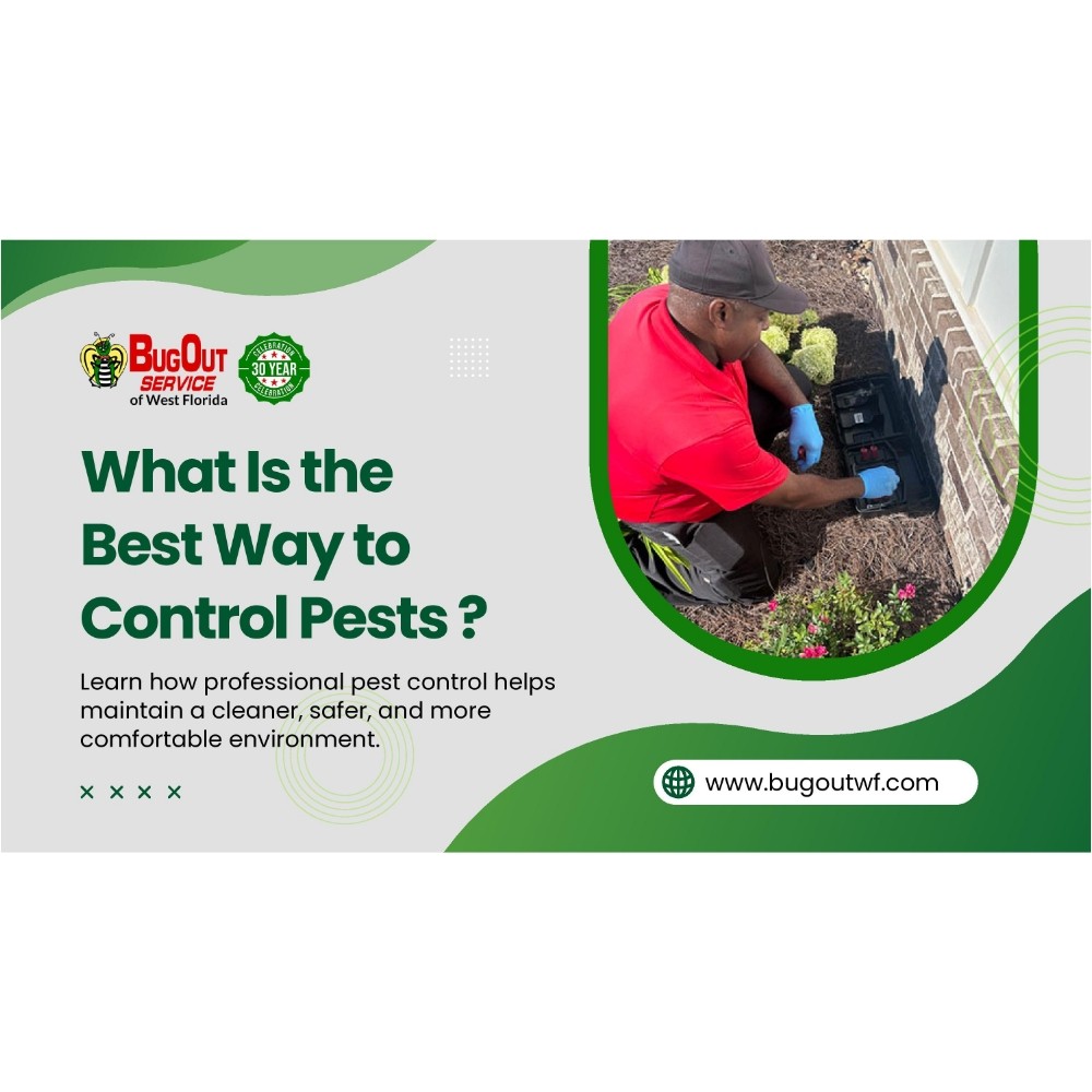 Presentations by Bug Out Service