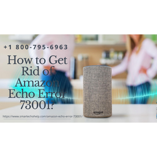 Getting Amazon Echo 73001 Error 18007956963 Fix Alexa Slow to Respond