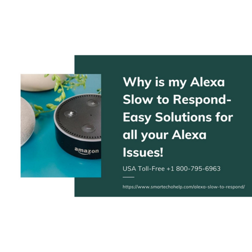 Fix Alexa Slow to Respond 18007956963 Echo Dot Not Responding Call