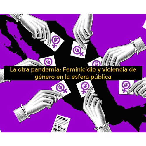 La otra pandemia: Feminicidio y violencia de género