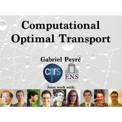 Computational optimal transport