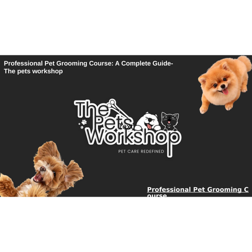 professional-pet-grooming-course-a-complete-guide-the-pets-workshop