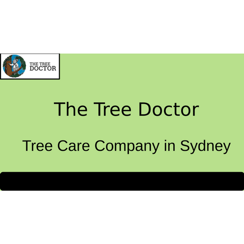 Presentations by The Tree Doctor