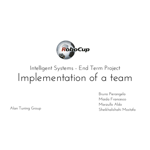 Robocup Team