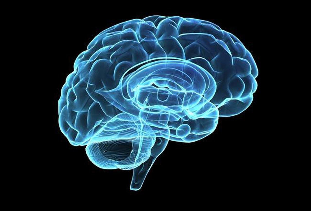 Brain Pumber